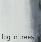 fog in trees